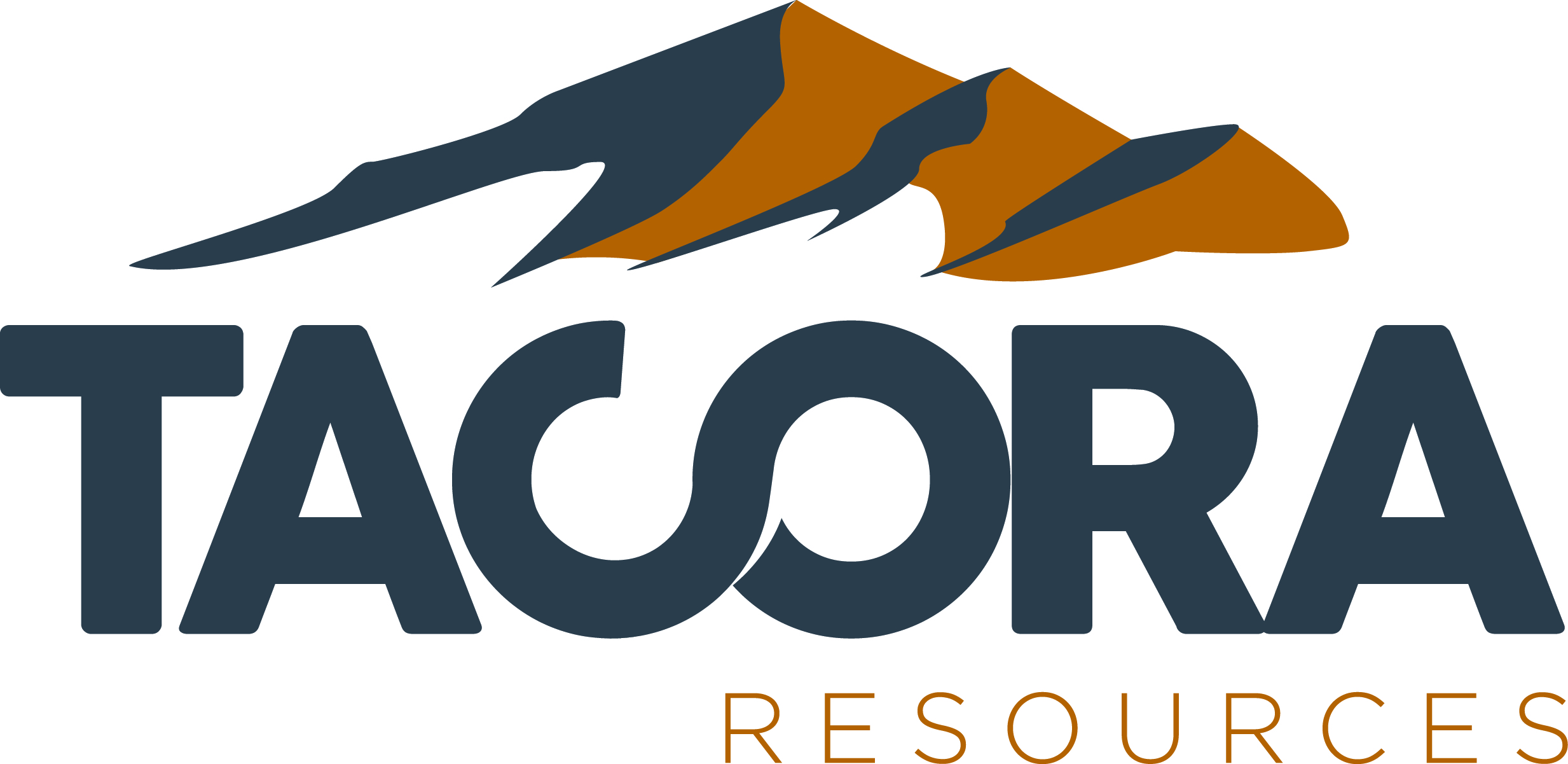 Sponsor Image